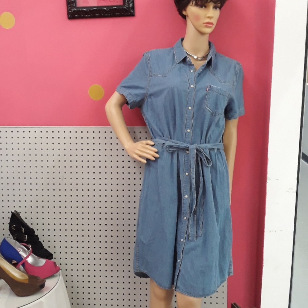 Levi Dress